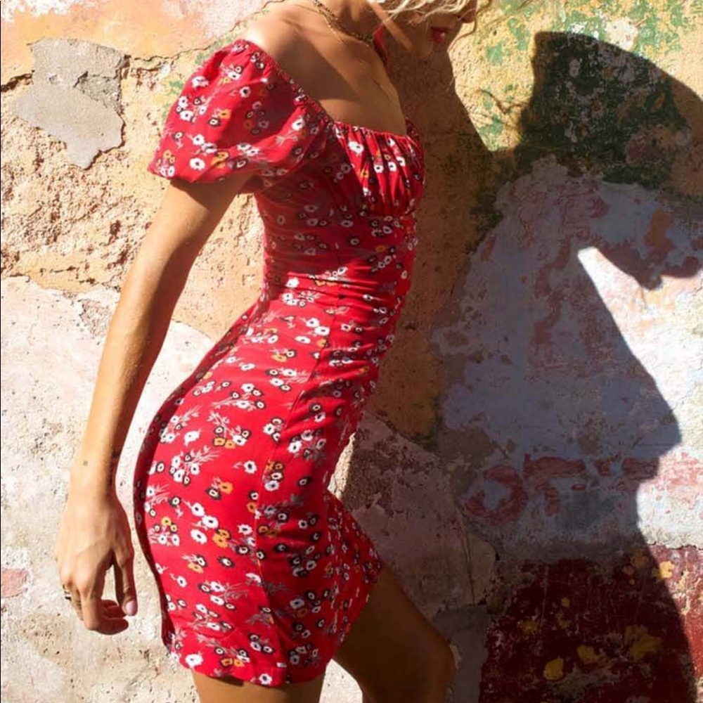 NET Rat and Boa Bambi dress, just released.